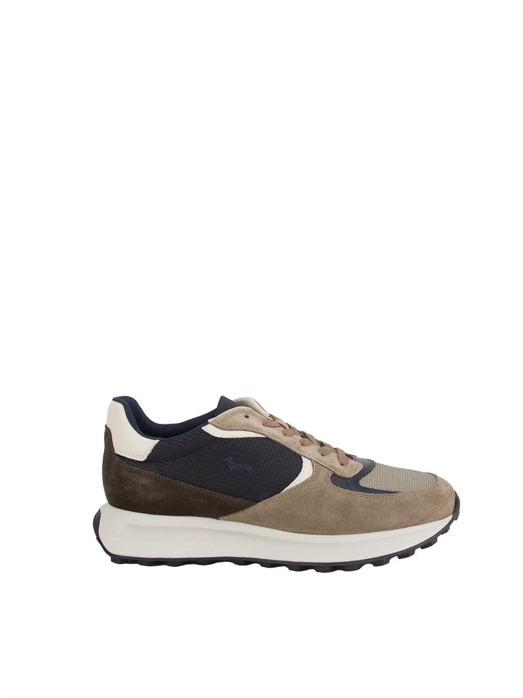 SNEAKERS HARMONT & BLAINE TAUPE