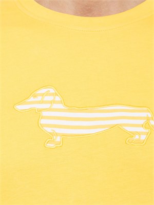 T-SHIRT HARMONT & BLAINE GIALLO in UOMO