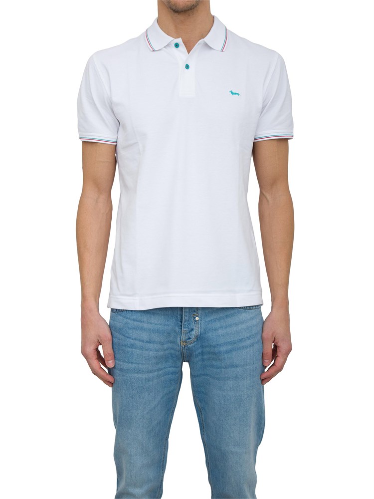 POLO HARMONT & BLAINE BIANCO