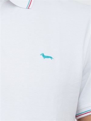POLO HARMONT & BLAINE BIANCO in UOMO