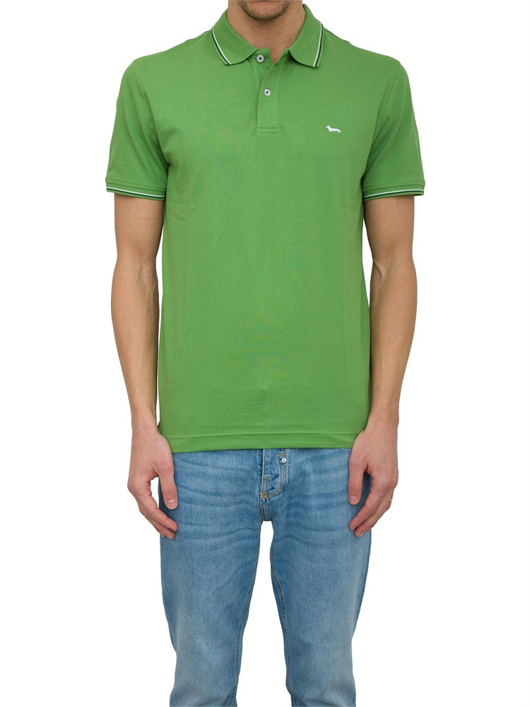 POLO HARMONT & BLAINE VERDE