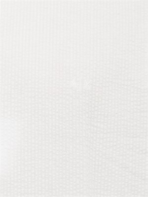 ARMANI EXCHANGE Camicia regular fit in cotone yarn dyed in UOMO
