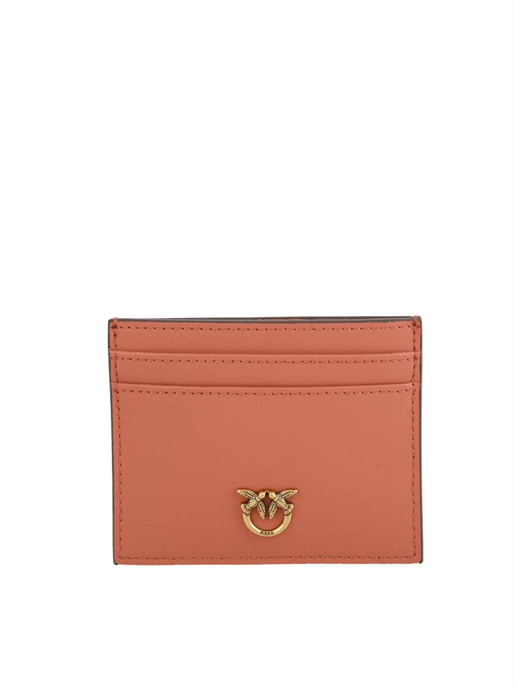 Portacarte Pinko in pelle marrone