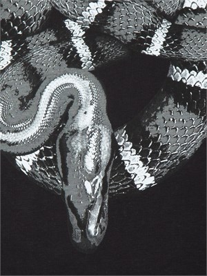 T-shirt County of Milan in cotone nero stampa serpente in UOMO