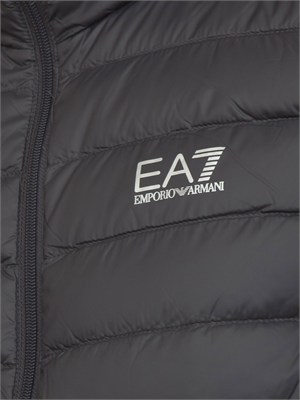 Gilet EA7 Emporio Armani in piuma d'oca e tessuto tecnico grigio in UOMO