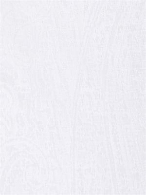 Camicia Etro uomo in cotone jacquard bianco in UOMO