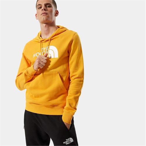THE NORTH FACE THE NORTH FACE Nf00AHJYVCV1 Vcv1 Pullover Hoo in Felpe